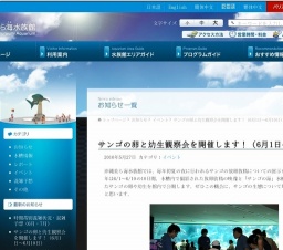 サンゴの卵と幼生観察会を開催します！（6月1日〜10日）