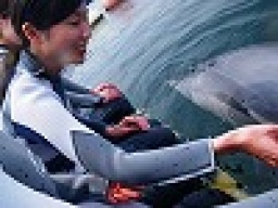 ドルフィンスイム＆温泉＆美味いもの バスツアー　　社会人サークルFEAD