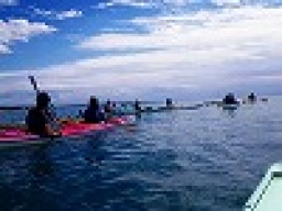 平日アウトドア　シーカヤックツアー　　社会人サークルFEAD