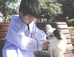 「本物のわんことふれあえる！動物のお医者さん体験」＆「iPotd touchを使って、身近な動物にひ...