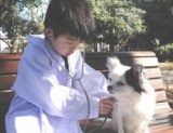 「本物のわんことふれあえる！動物のお医者さん体験」＆「iPotd touchを使って、身近な動物にひ...