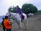 祭日イベント　本格乗馬体験　社会人サークルFEAD
