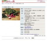 21世紀かぶ祭りin一霞