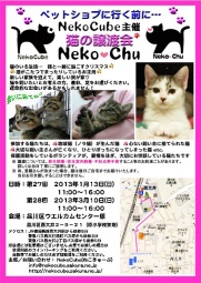 nekochu 猫の譲渡会