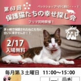 保護猫たちの幸せ探し会