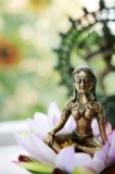 mellow-yoga*studio｜生徒から先生になるための基礎講座☆vol.1