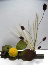 ９月１７日(水) Ａrioの“Ｈａｐｐｙ Ｗｅｄｎｅｓｄａｙ” 「プリザーブドフラワー アレンジメン...