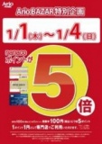 【1/1(木・祝)～1/4(日)】 Ario BAZAR特別企画 『アリオ鷲宮専門店街nanacoポイントアップDays ...