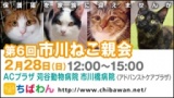 保護猫を家族に迎える譲渡会「ちばわん　市川ねこ親会」