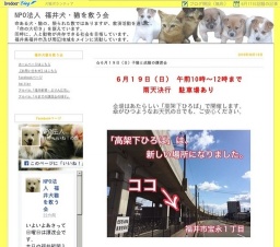 子猫と成猫の譲渡会