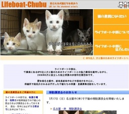 子猫との面会日および譲渡会