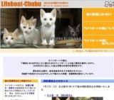 子猫との面会日および譲渡会