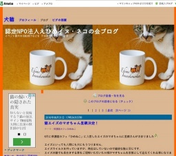 保護猫カフェ「ひめねこ」 