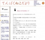 飼い主のいない猫問題よろず相談会