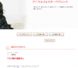 犬と猫の譲渡会