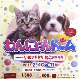 わんにゃんドーム