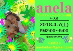 アネラさんのプレミアムトークイベント｜アネランランのブログ