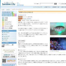 メタボリックとエクササイズ