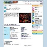 2009 彦根・北びわ湖大花火大会