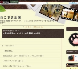 猫の譲渡会＆チャリティバザー