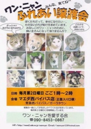 ワンニャンふれあい譲渡会