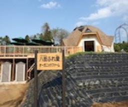 6月26日(日)じゃがいも収穫体験、農家のじゃがいも餅作り 体験会!