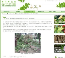 講演会「緑化植樹の台風被害対策などについて」 参加者募集！