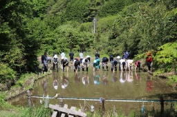 芦川の山とつながる農村民（田植えの回）