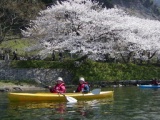 2013年　お花見カヤックツアー in 奥びわ湖