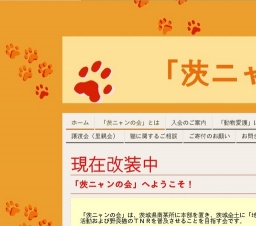 犬猫里親会