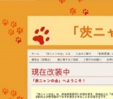 犬猫里親会