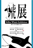 特別展「鯱展－海の王者の素顔に迫る！－」