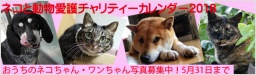 「ネコと動物愛護チャリティーカレンダー2018」猫と犬の写真募集CP