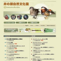 カエルオリンピック、まもなく開催