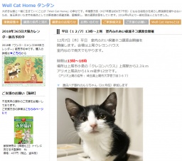 保護ネコ譲渡会