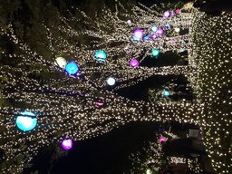 [大学生〜新社会人向け]Photo茶会＠新宿