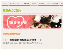 譲渡会 - NPO法人 犬猫愛護会 わんぱーく | 岡山・譲渡会・里親・ボランティア