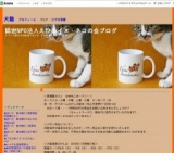 保護猫カフェ「ひめねこ」 