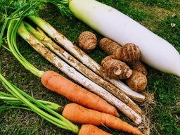 収穫体験&BBQ サイクリングイベント