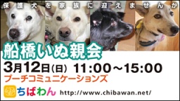 ちばわん『船橋いぬ親会】開催のご案内