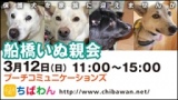 ちばわん『船橋いぬ親会】開催のご案内