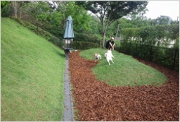 ワンコパークの愛犬教室 ワンちゃんのしつけ教室・60分【5月】 | ハウスクエア横浜