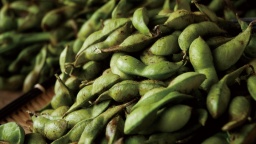 遊びにおいでよ!!後川で豆コン開催♪