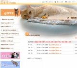 犬・猫里親さがし会