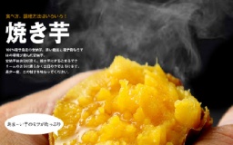 10月29日(日)讃友会!焼き芋パーティ@丸亀!