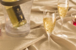 1/22(月)19:55～40名規模【超レア金箔スパークリング】「金の泡」飲み比べコン