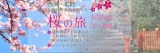 【4/7(土)開催】花らんまん春の京旅<西陣・北野　桜の旅>　建勲神社・上品蓮台寺・千本釈迦堂・...