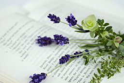 ハーブ講師 & ハーブブレンダー 、アリサ先生による、完全オリジナルハーブティー作り