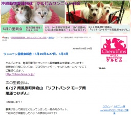 ワンニャン里親会報告