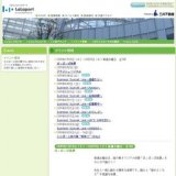 Summer Sunset Live〜高橋ちか〜